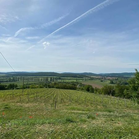 PécselyPreshaz A Hegyteton公寓 外观 照片