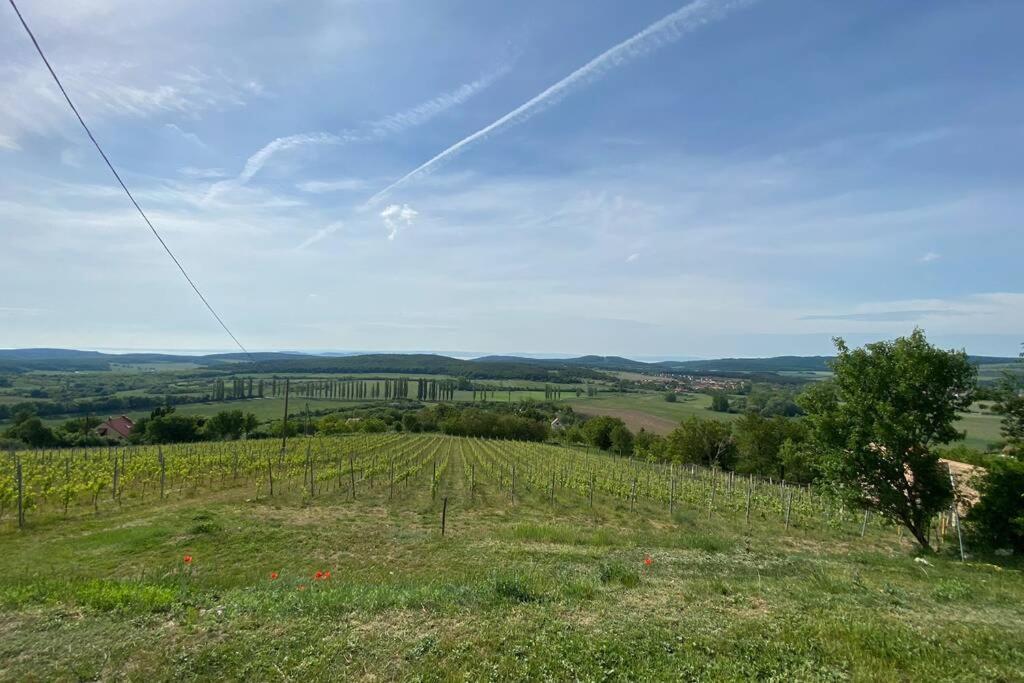 PécselyPreshaz A Hegyteton公寓 外观 照片
